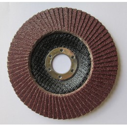 Disque à lamelles abrasives...